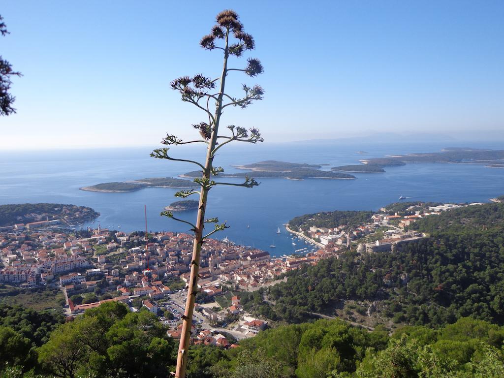 Ana Tudor Apartments Hvar Town Kültér fotó